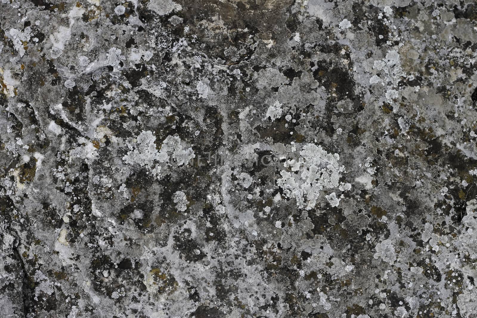 Natural background with a stone and the moss