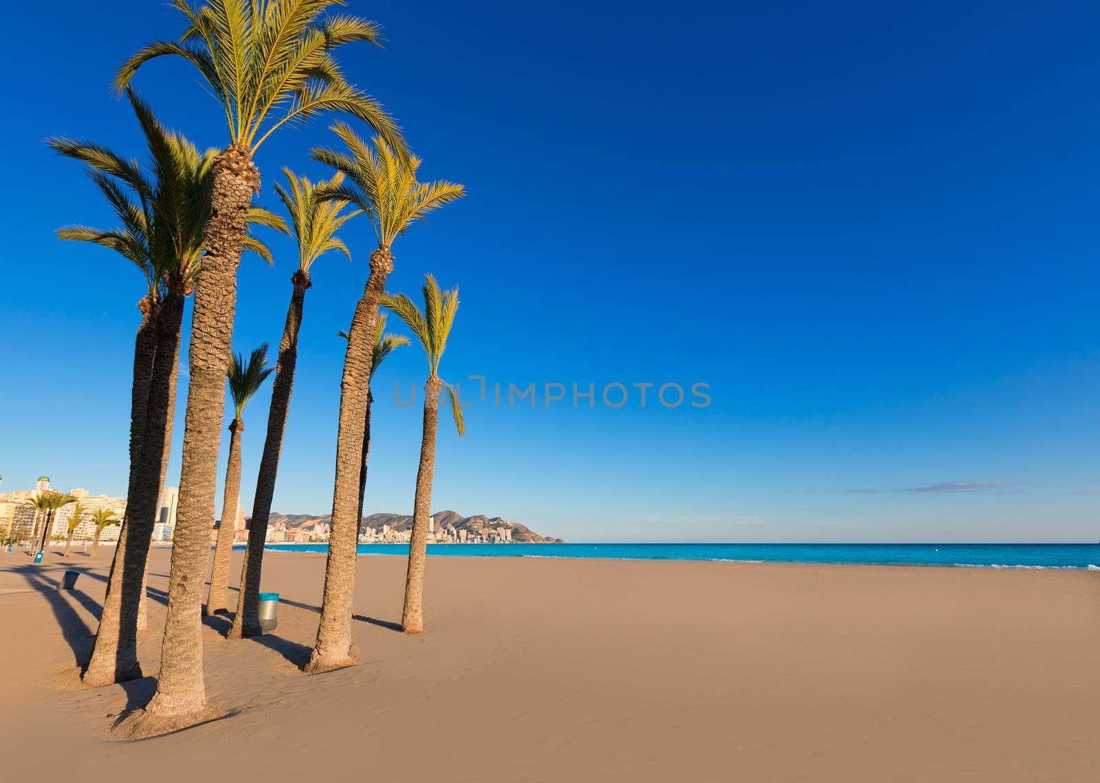 Benidorm Alicante playa de Poniente beach in spain Valencian community