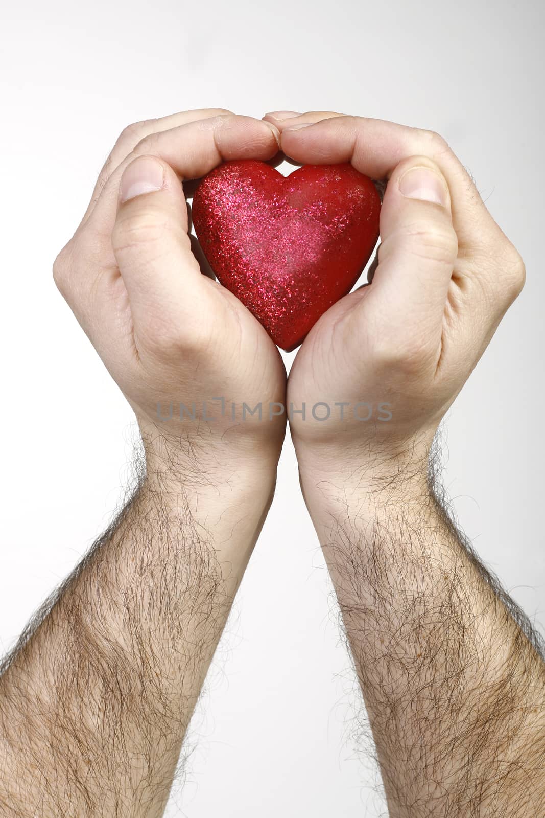 Heart in hands by nemar74