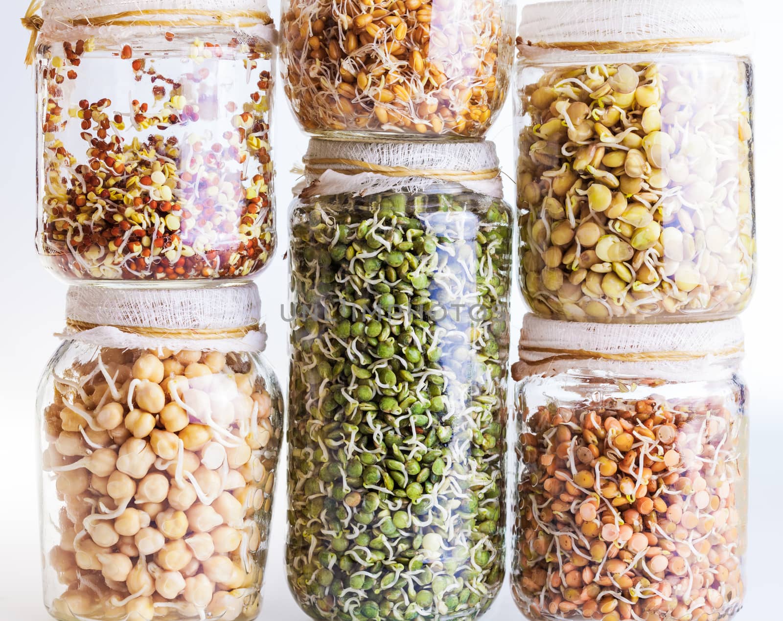 Stack of Different Sprouting Seeds Growing in a Glass Jar Isolated on White Background