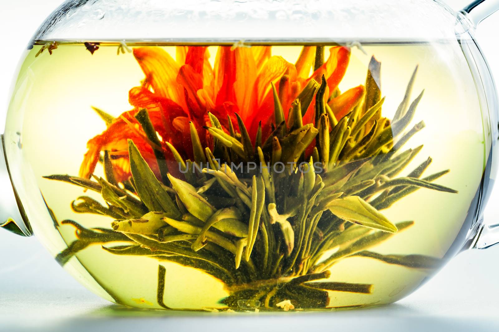 Studio shot of Tea Flower in a Clear Teapot