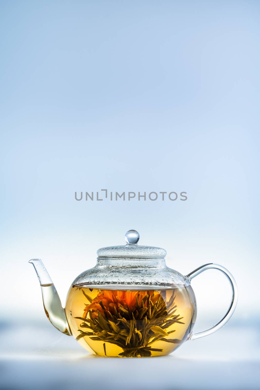 Studio shot of Tea Flower in a Clear Teapot