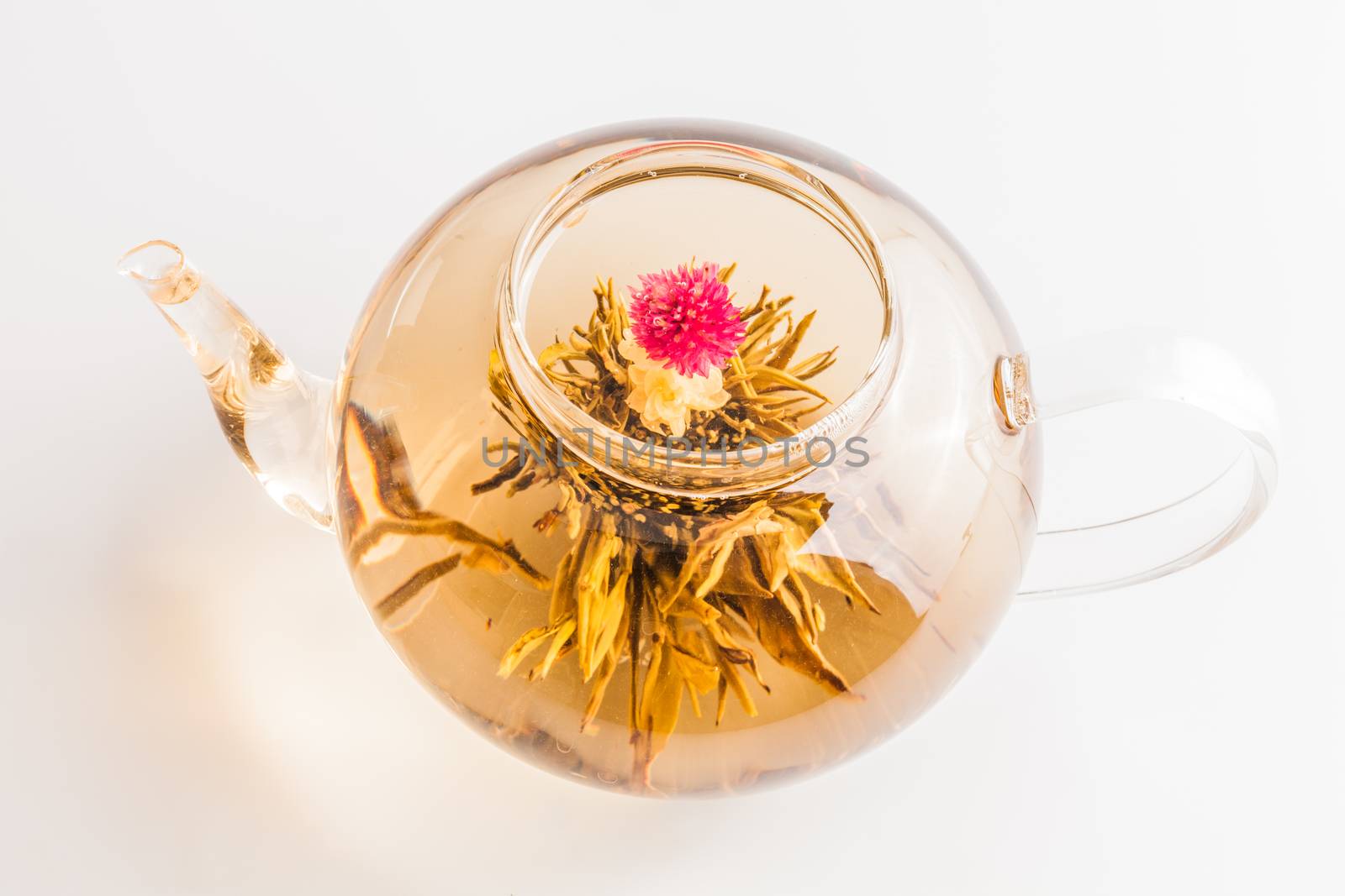 Studio shot of Tea Flower in a Clear Teapot