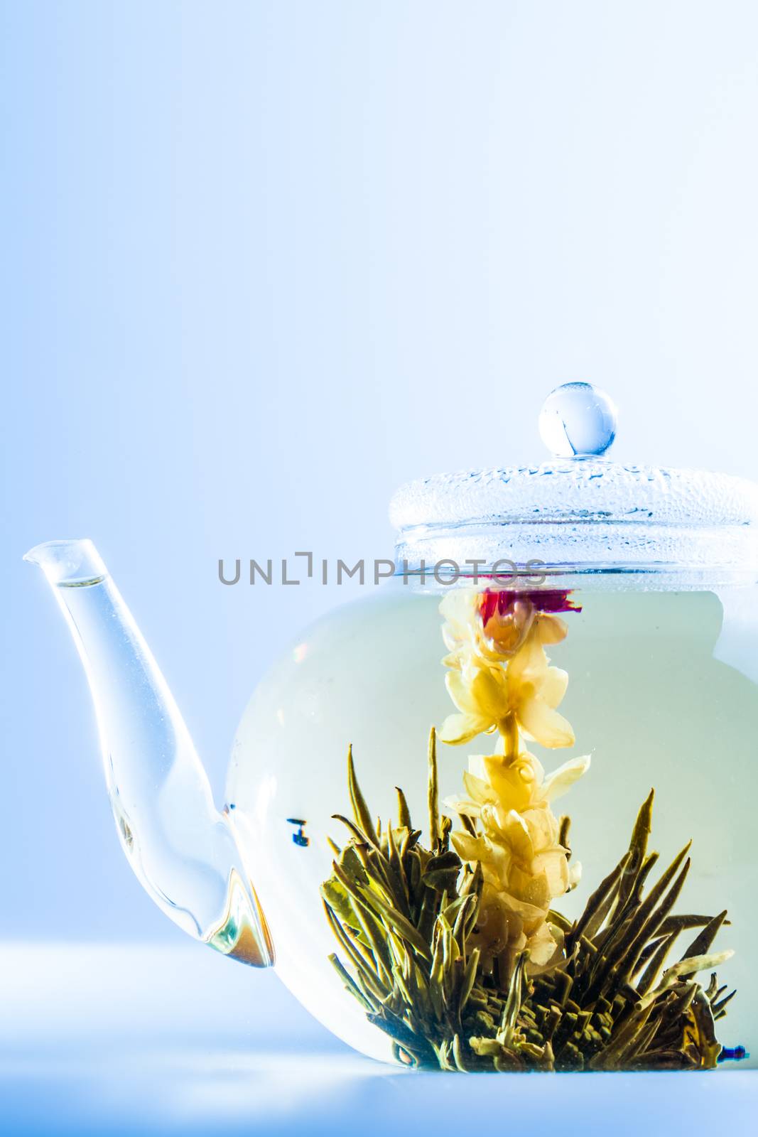 Studio shot of Tea Flower in a Clear Teapot