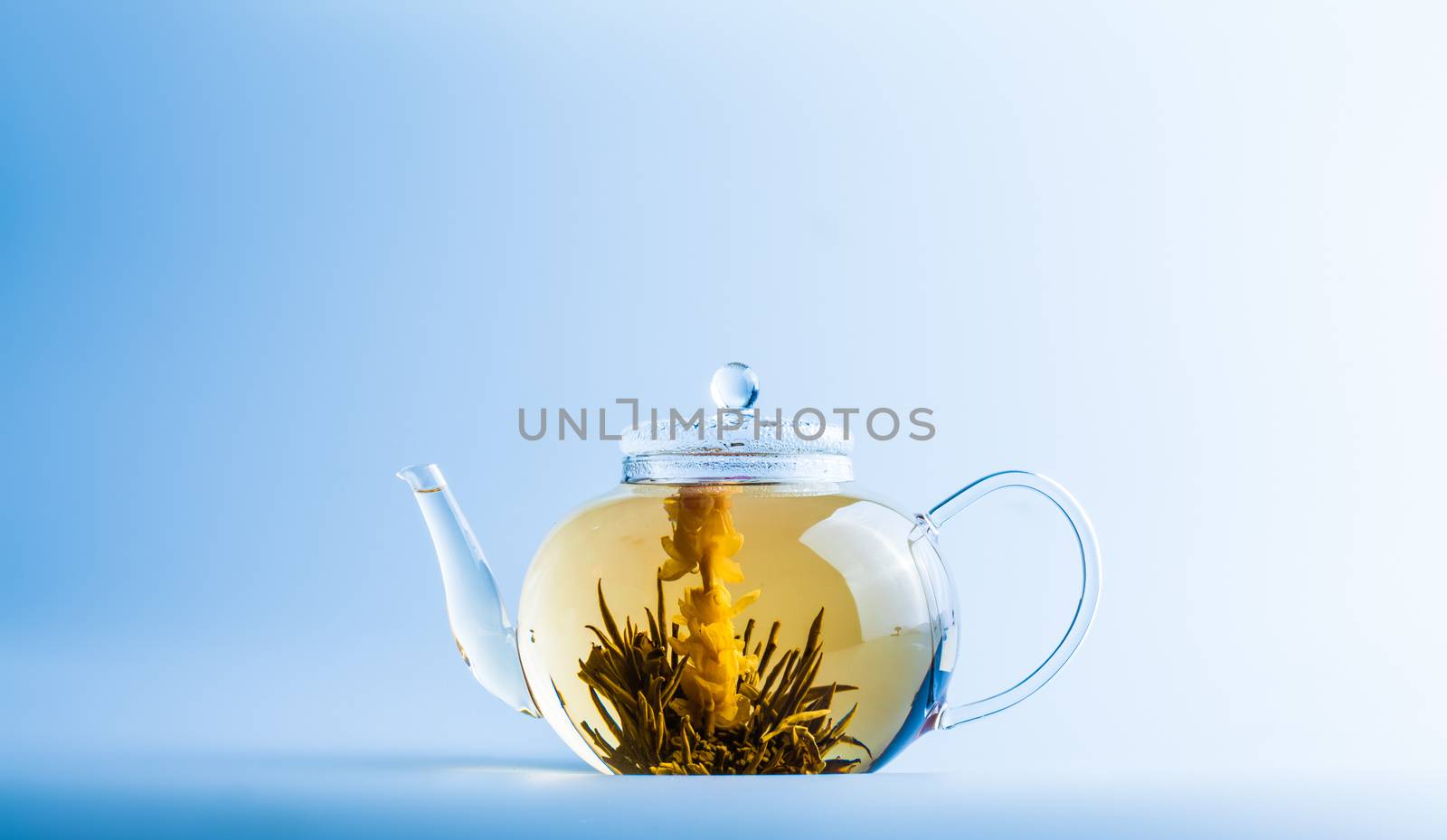 Studio shot of Tea Flower in a Clear Teapot