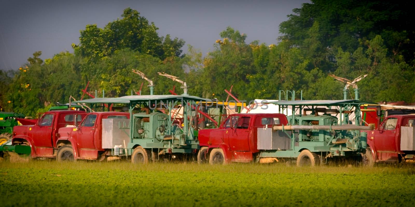 Agricultural trucks in a field, City Center, Miami Beach, Miami-Dade County, Florida, USA
