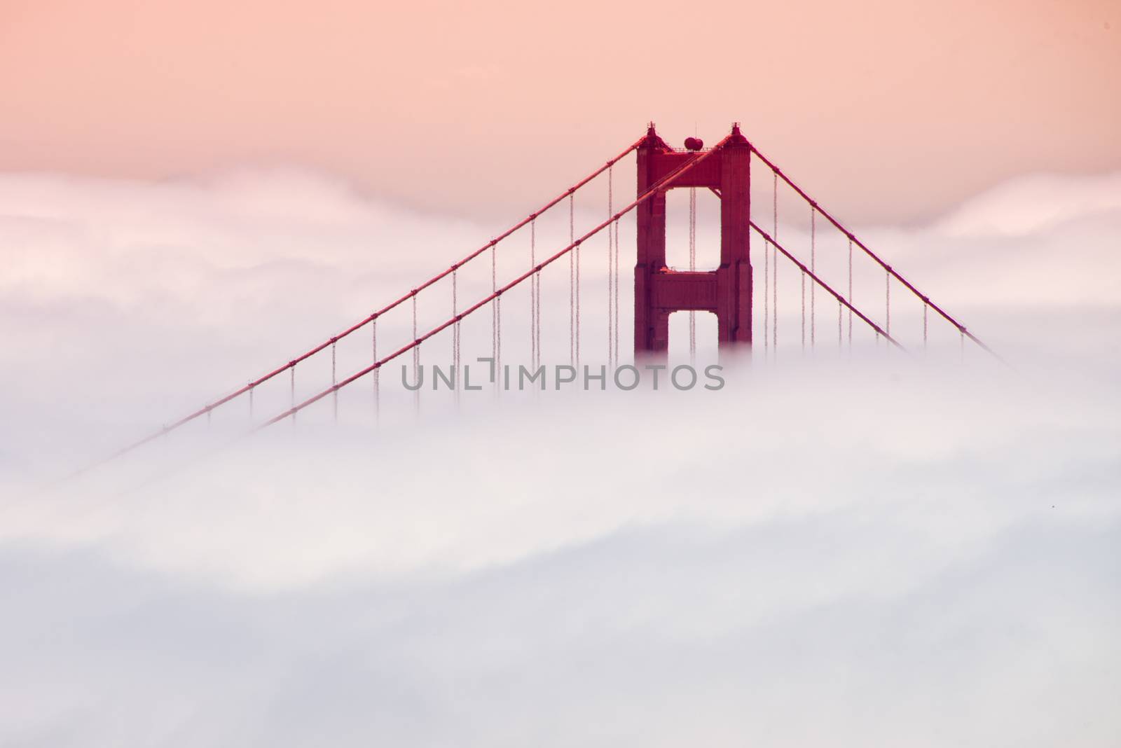 Golden Gate Bridge, San Francisco Bay, San Francisco, California, USA