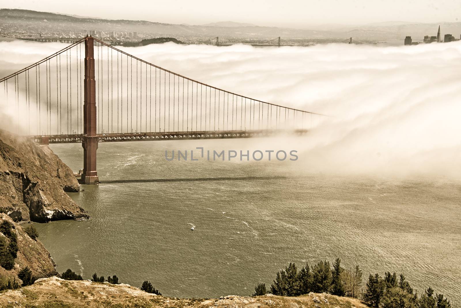 Suspension bridge over the Pacific ocean, Golden Gate Bridge, San Francisco Bay, San Francisco, California, USA
