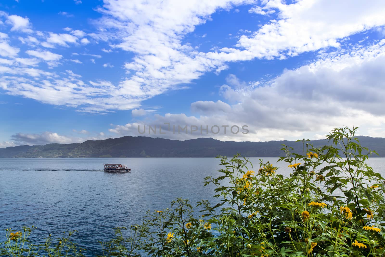 Flowers and Boat. by GNNick