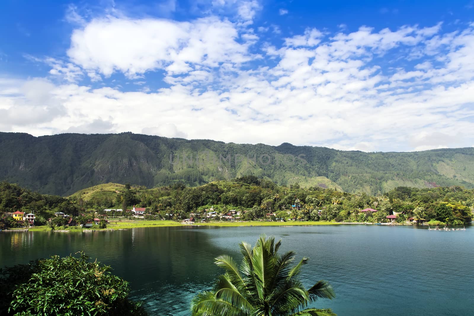 Trees and Lake Toba. Samosir Island North Sumatra, Indonesia.