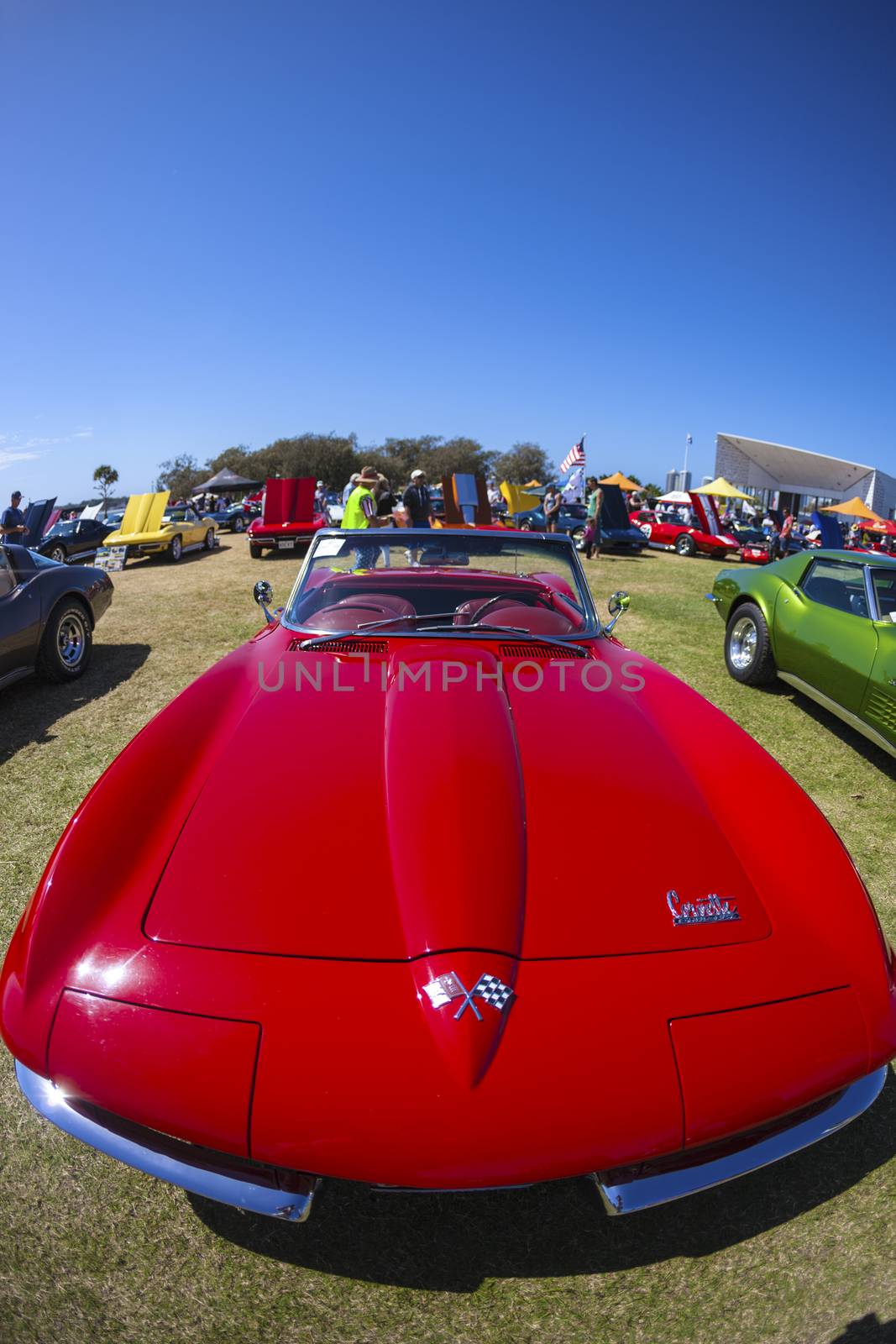 Gold Coast, QLD - SEPTEMBER 16: Chevy Corvettes and others on display at the Gold Coast "Corvettes on Display" classic car show at Gold Coast QLD , Australia September 16, 2013.