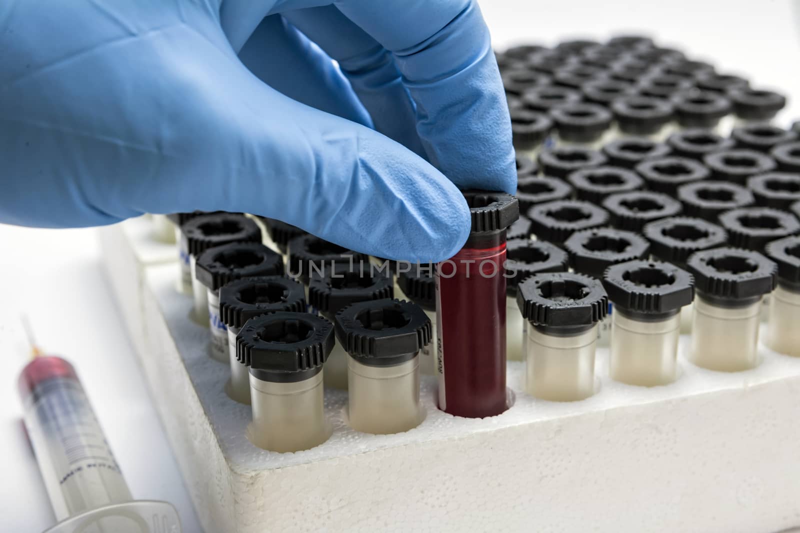 blood tubes in rack  by digicomphoto