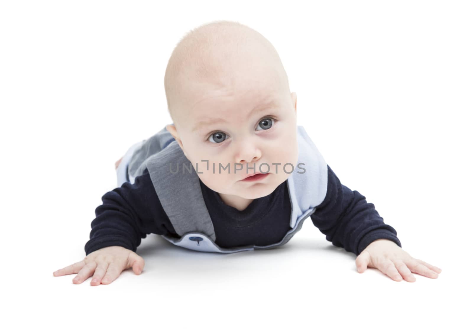 6 month old baby crawling on white floor. isolated on white background