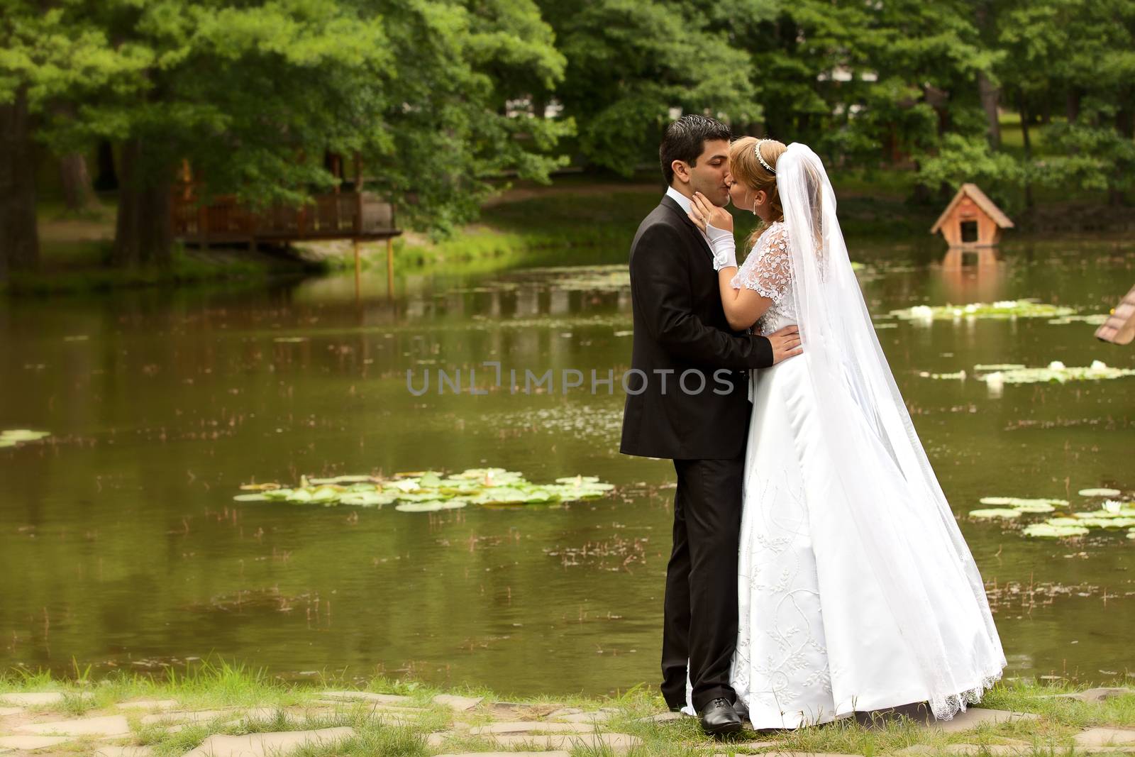 bride and groom at the wedding