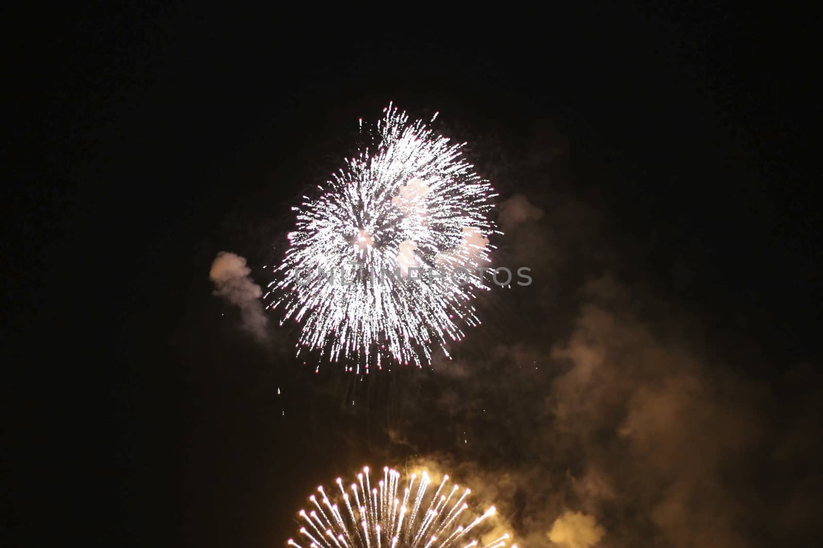 Colorful firework in the black night sky