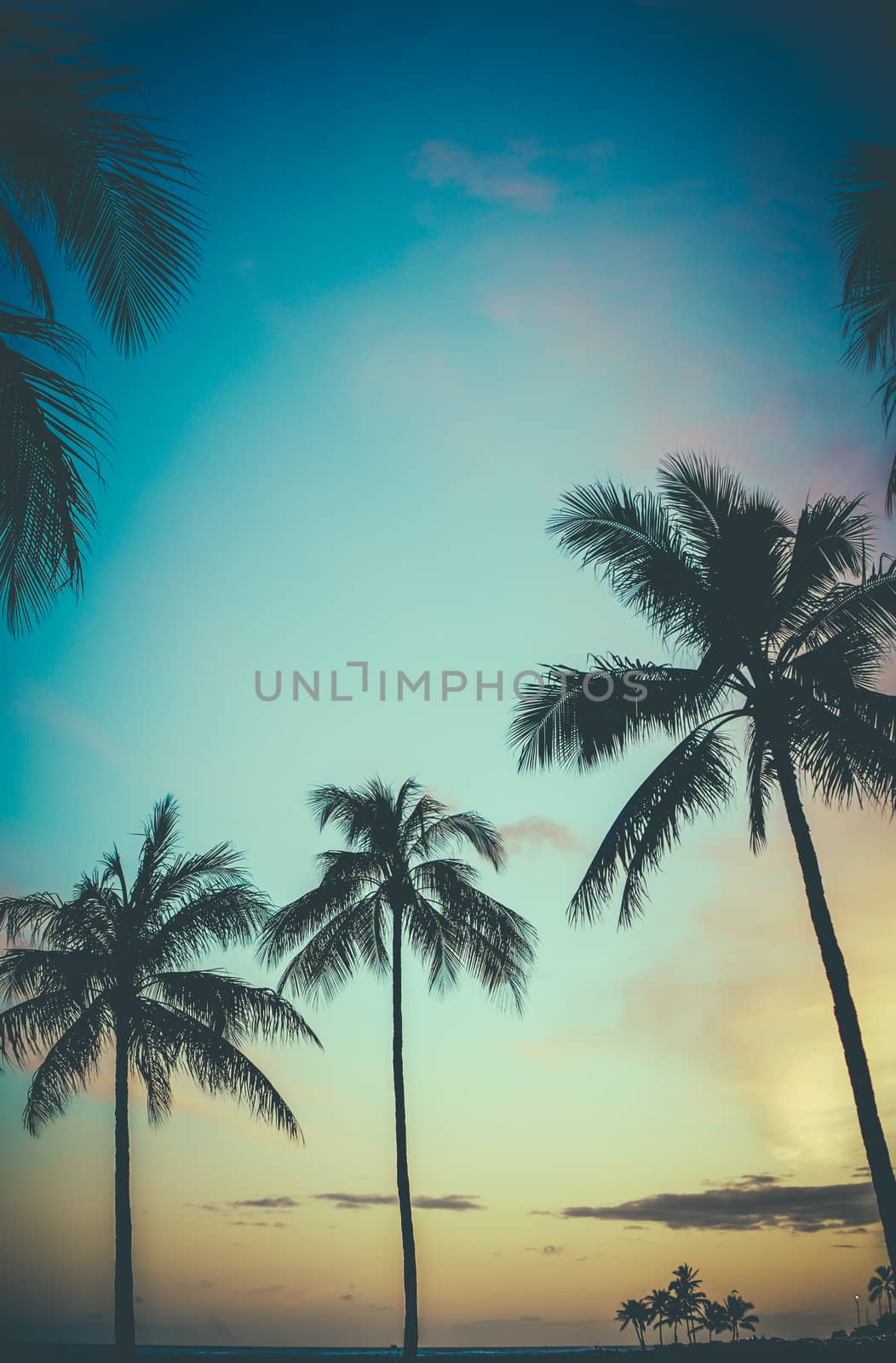Faded Retro Style Photo Of Palm Trees In Hawaii At Sunset