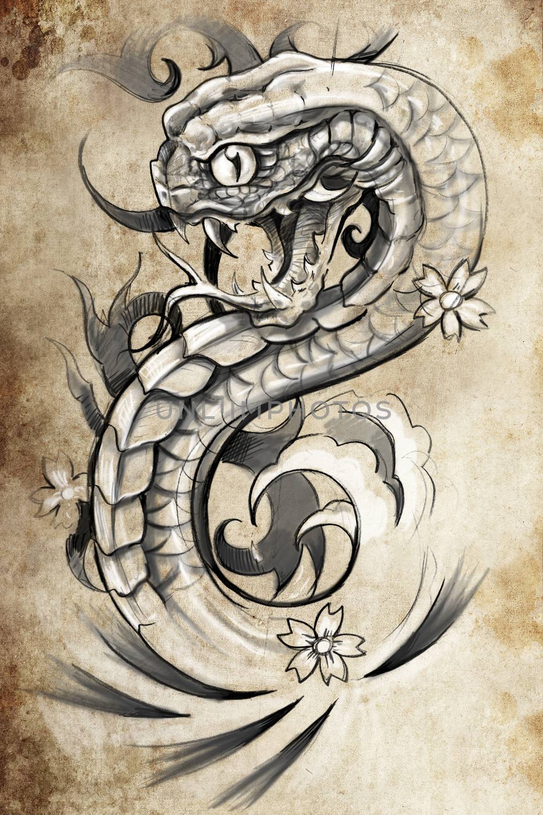 snake tattoo illustration, handmade draw over vintage paper by FernandoCortes