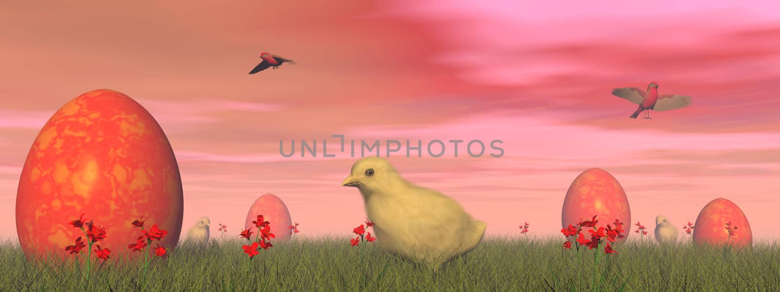 Easter eggs and cute yellow chicks in the grass by red cloudy day