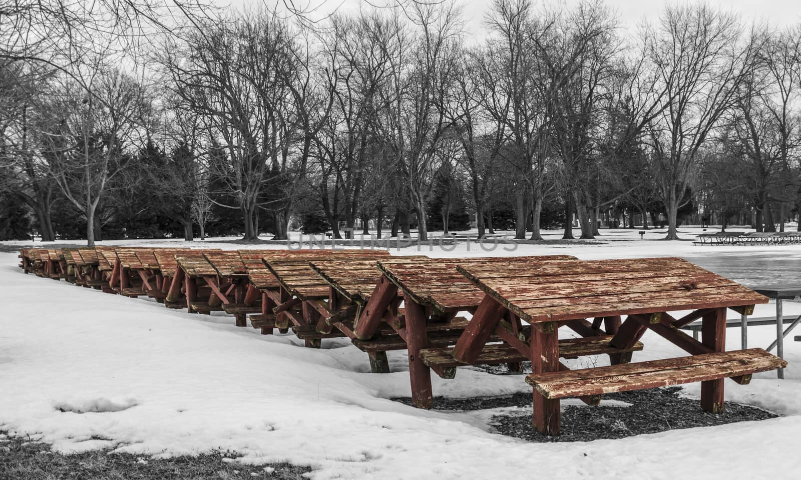 Red picnic tables in a row with black and white winter background.