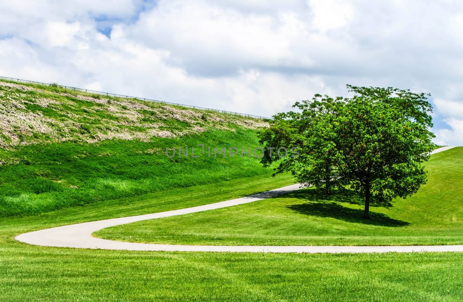 Paved curving path up a hill. Beautiful fluffy clouds are in the sky. 