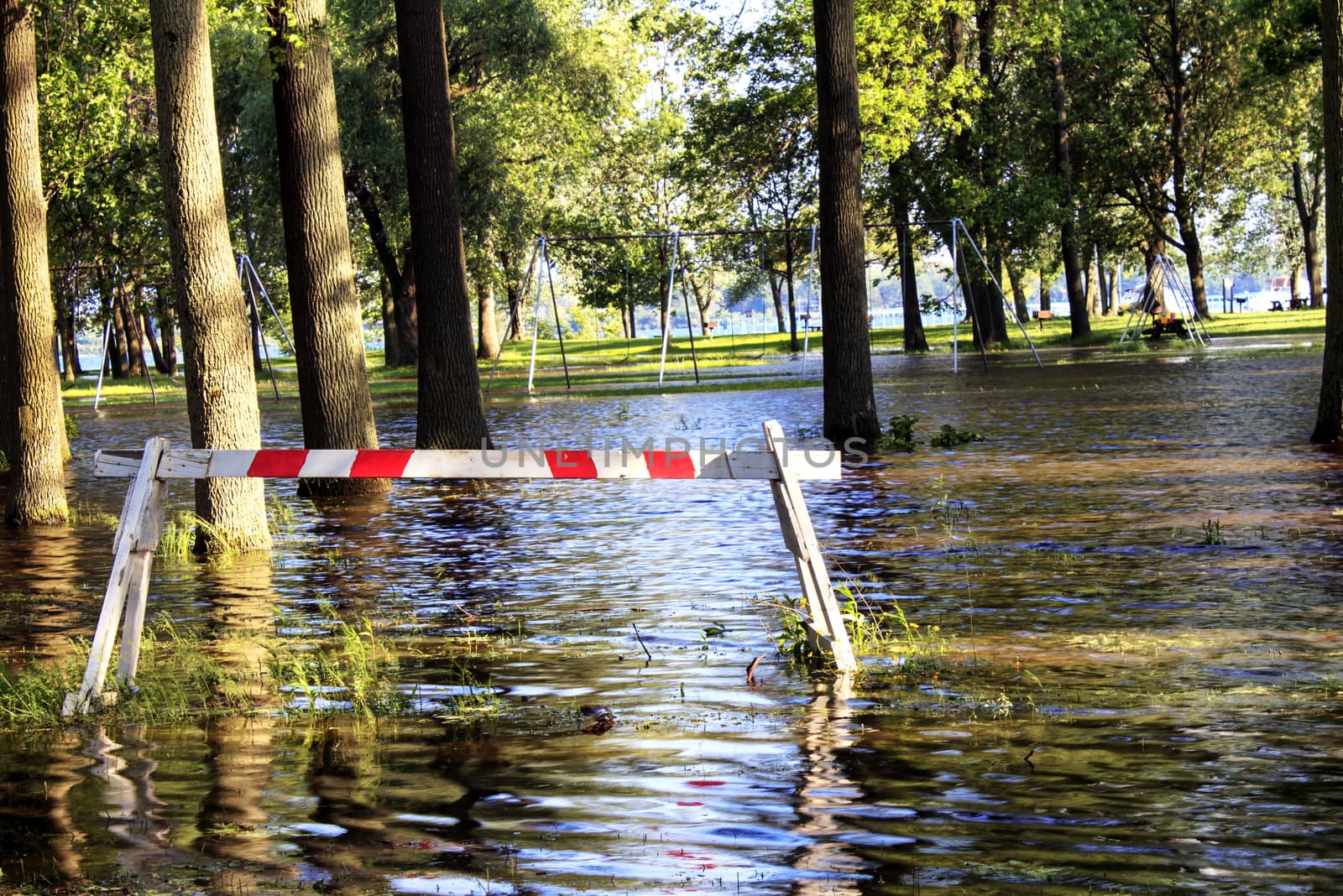 Water surrounds trees at a normally dry park.  Red and white barrier warns of the danger. 