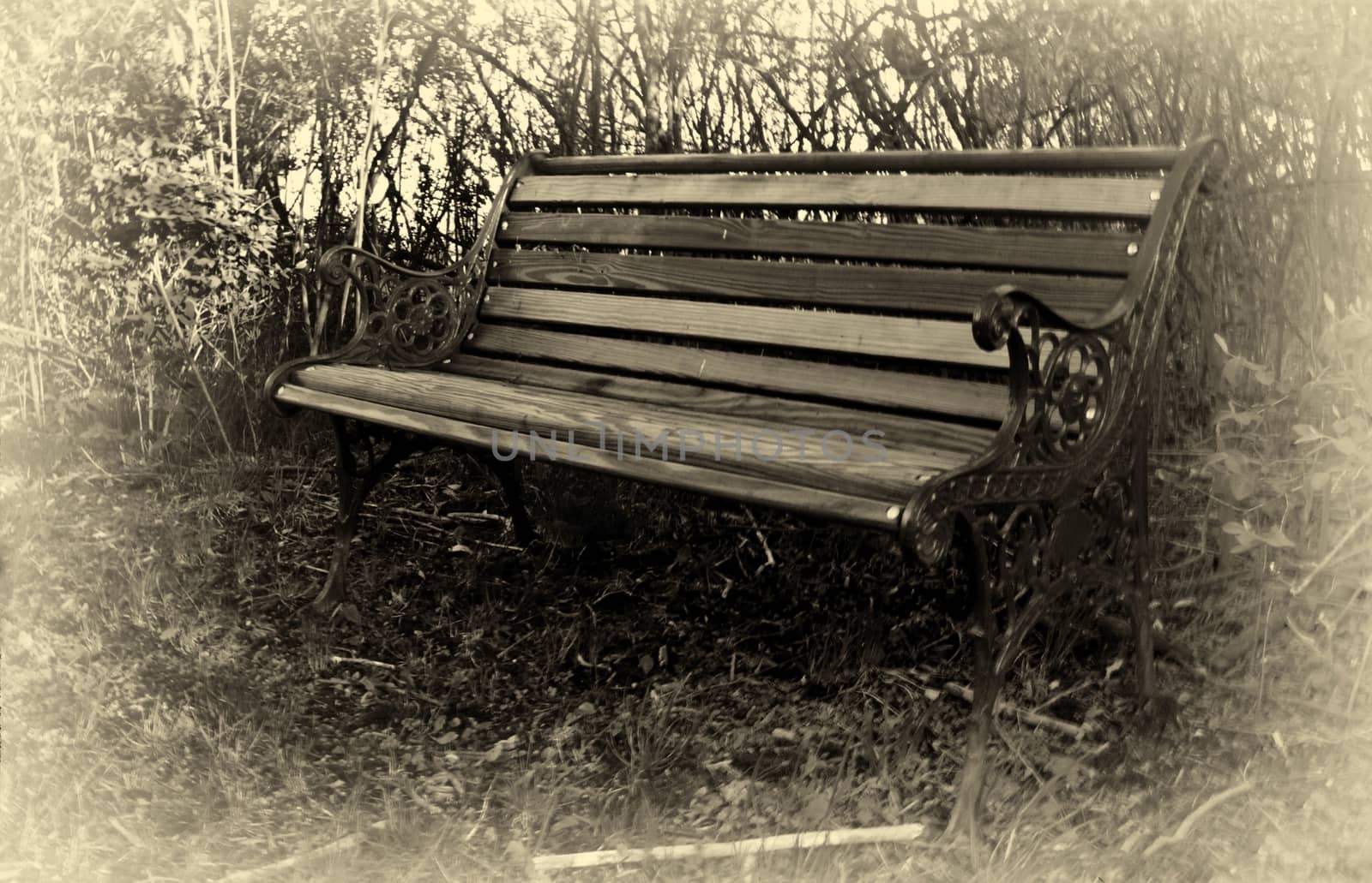 Old wooden bench with metal scroll work. Sepia tone sets the mood. 