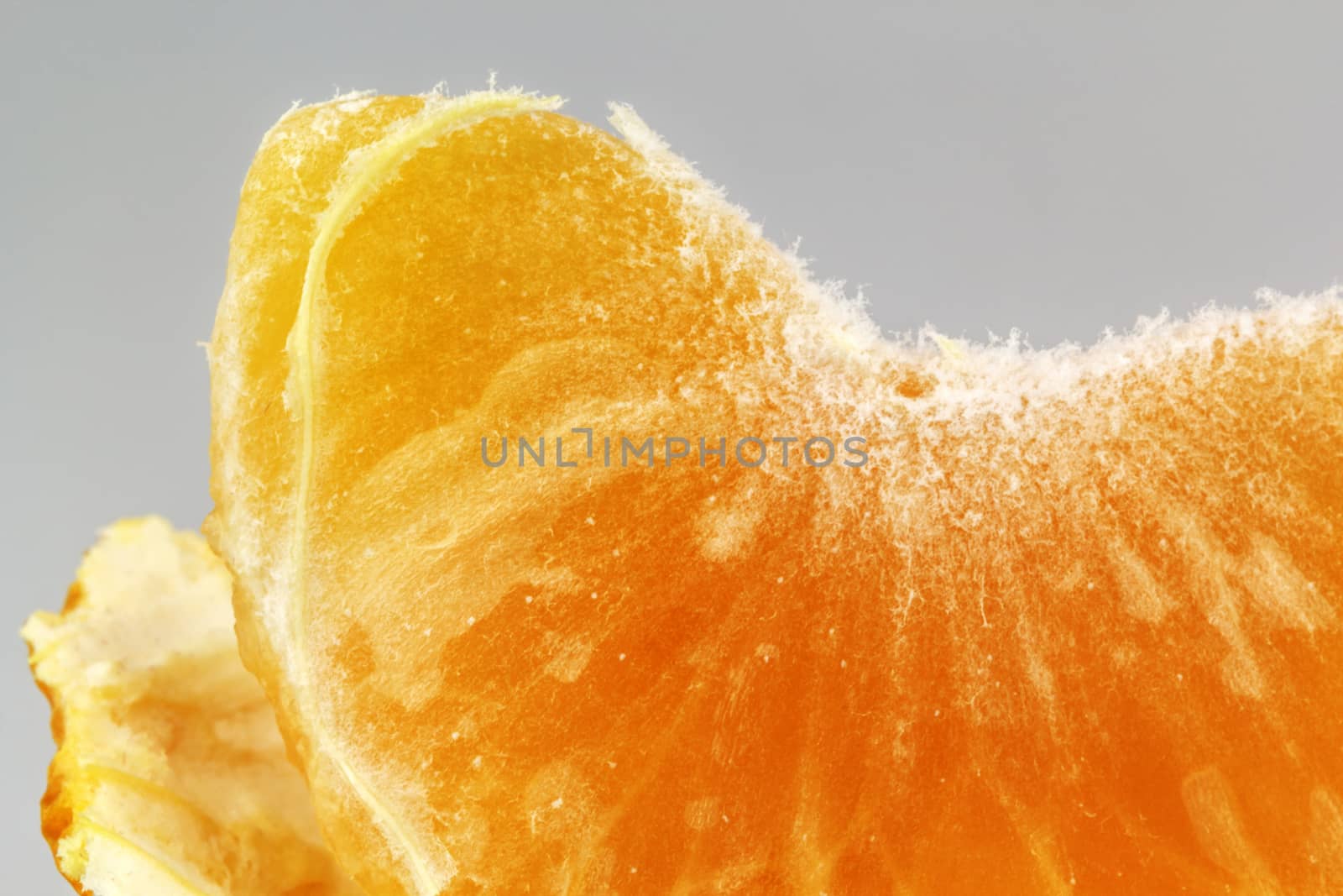 Macro shot of a juicy piece of orange.