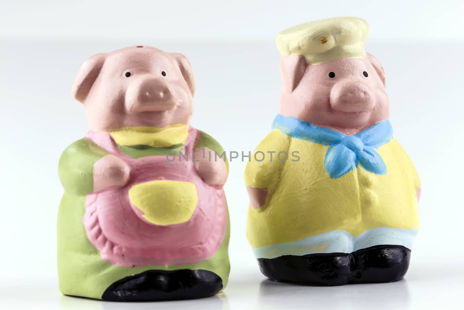 Decorative salt and pepper shakes of a domestic pig couple.