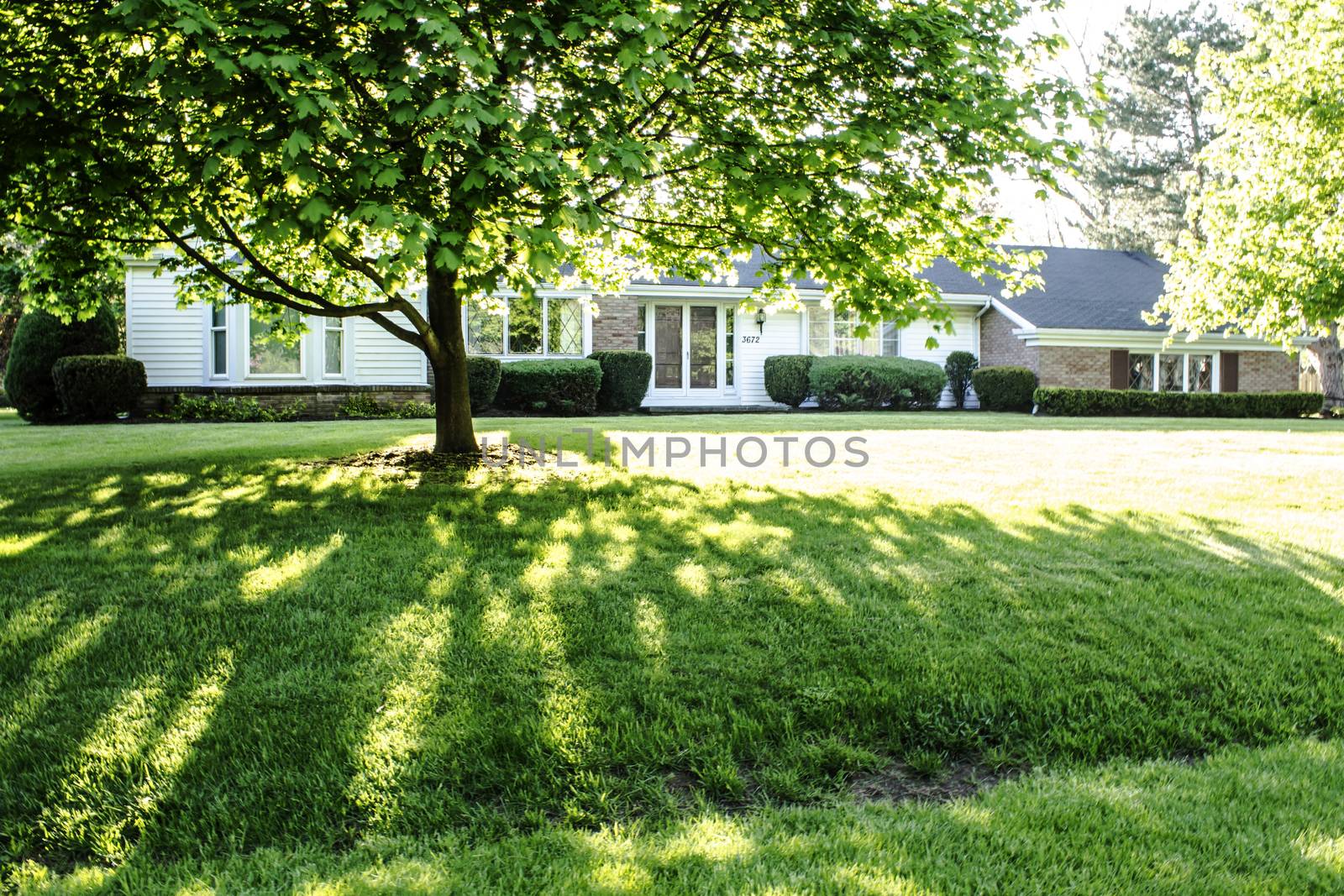 Shaded front lawn of a brick ranch style home with a bay window in the front.
