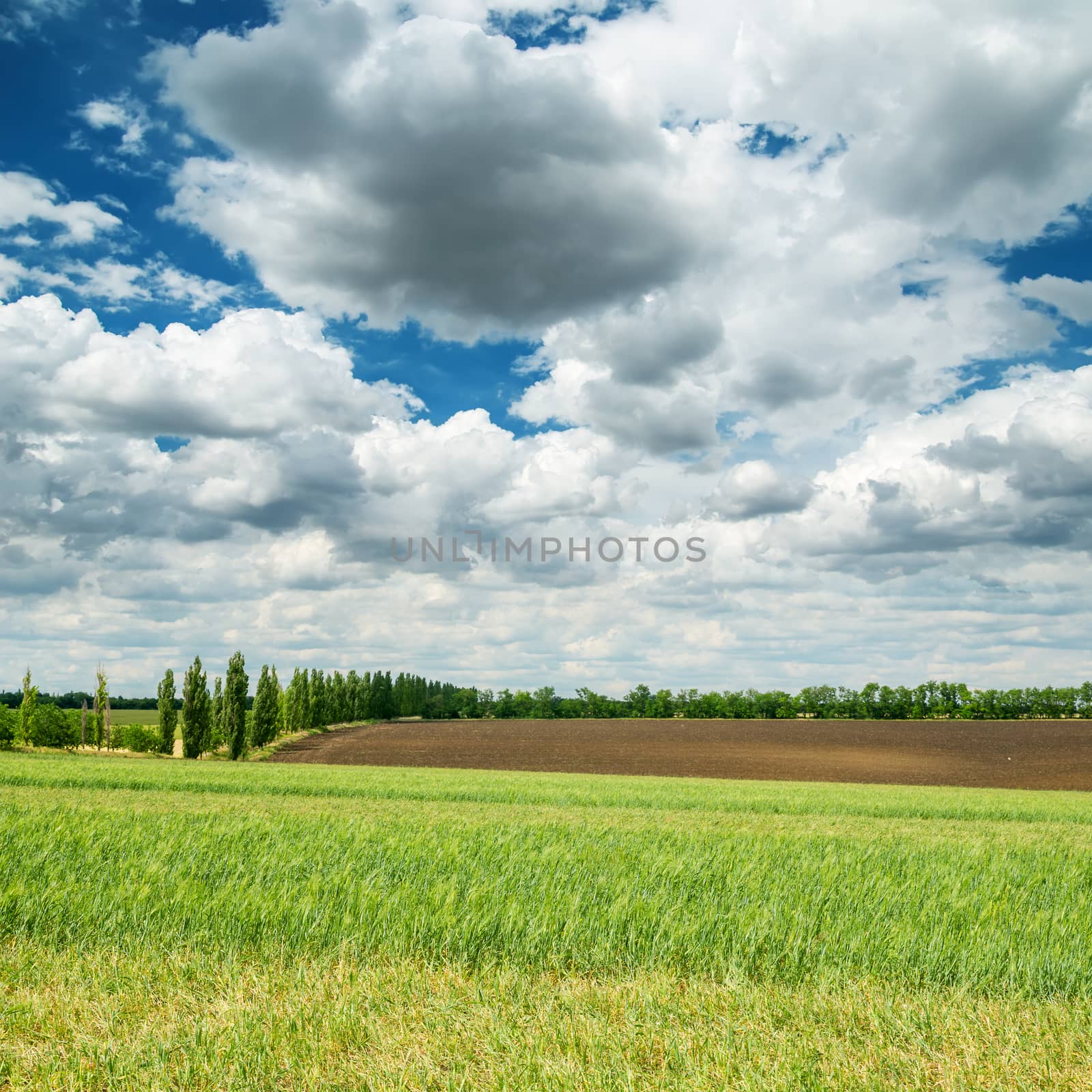 agriculture fields and dramatic sky by mycola