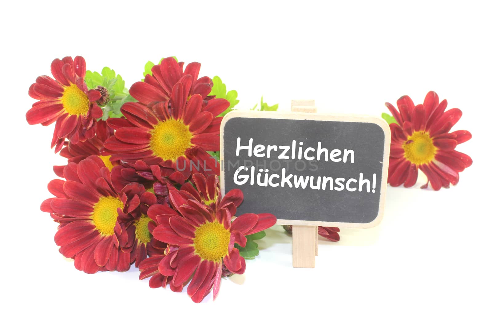 bouquet of red Chrysanthemums with board on a light background