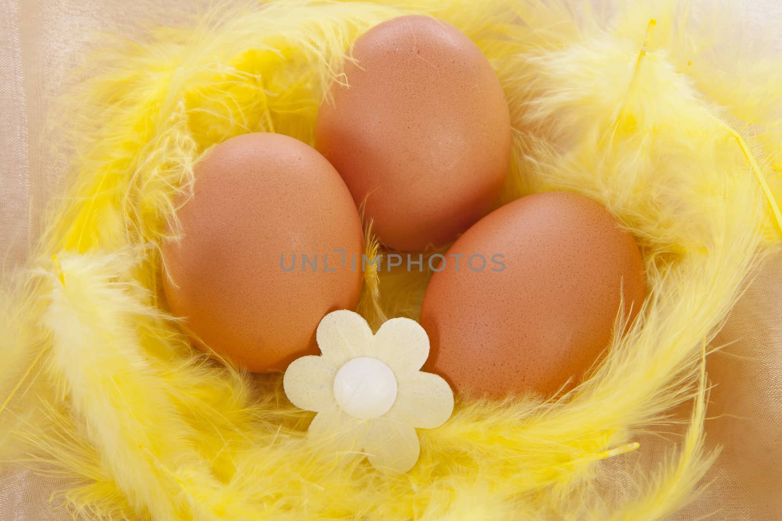 Chicken egg decorated for easter in yellow feathers