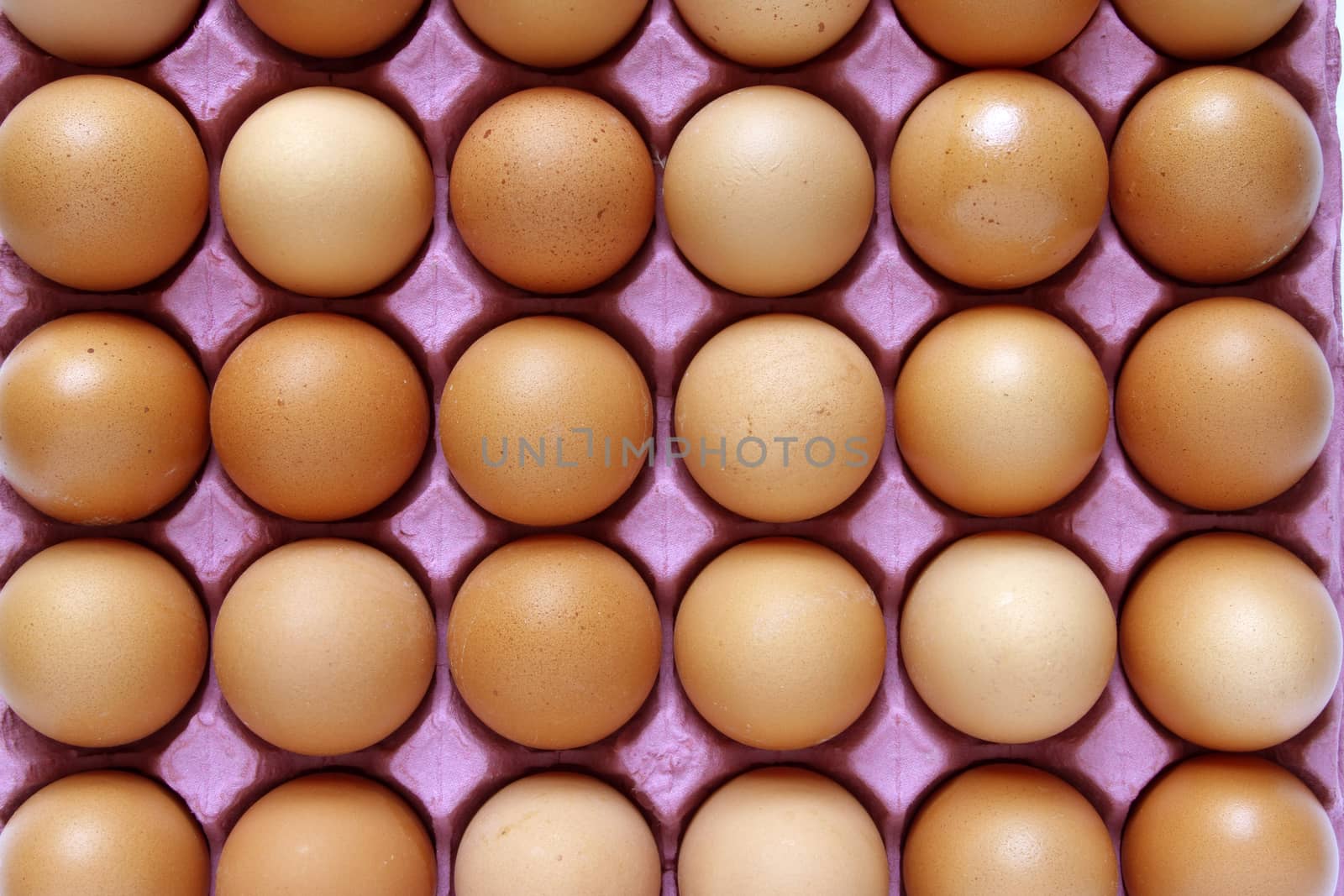 Closeup of eggs in tray