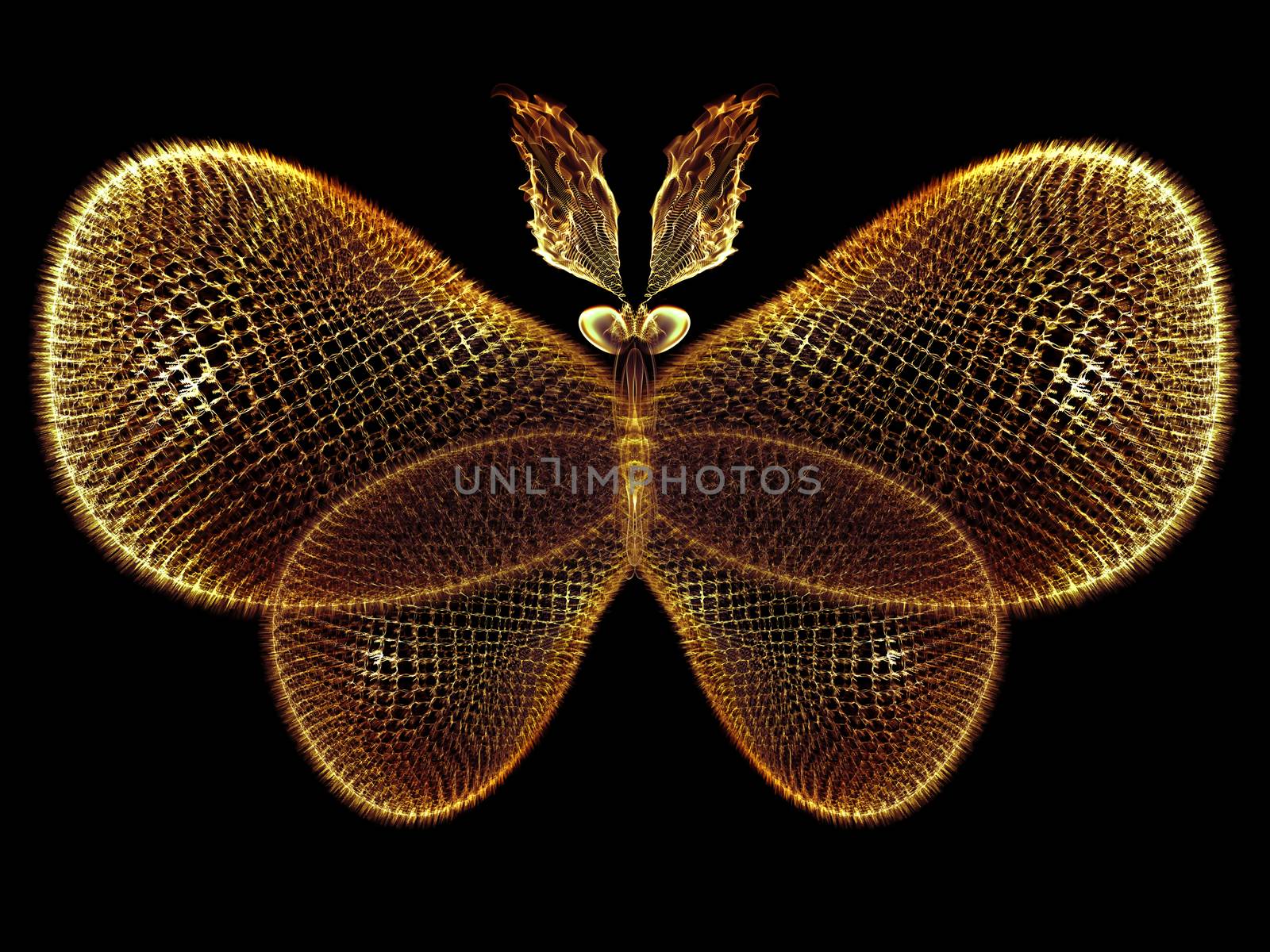 Never Were Butterflies series. Abstract arrangement of isolated butterfly patterns suitable as background for projects on science, imagination, creativity and design