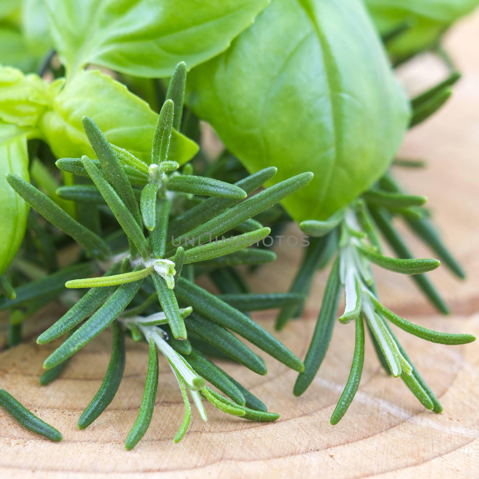 fresh herbs - rosemary and basil