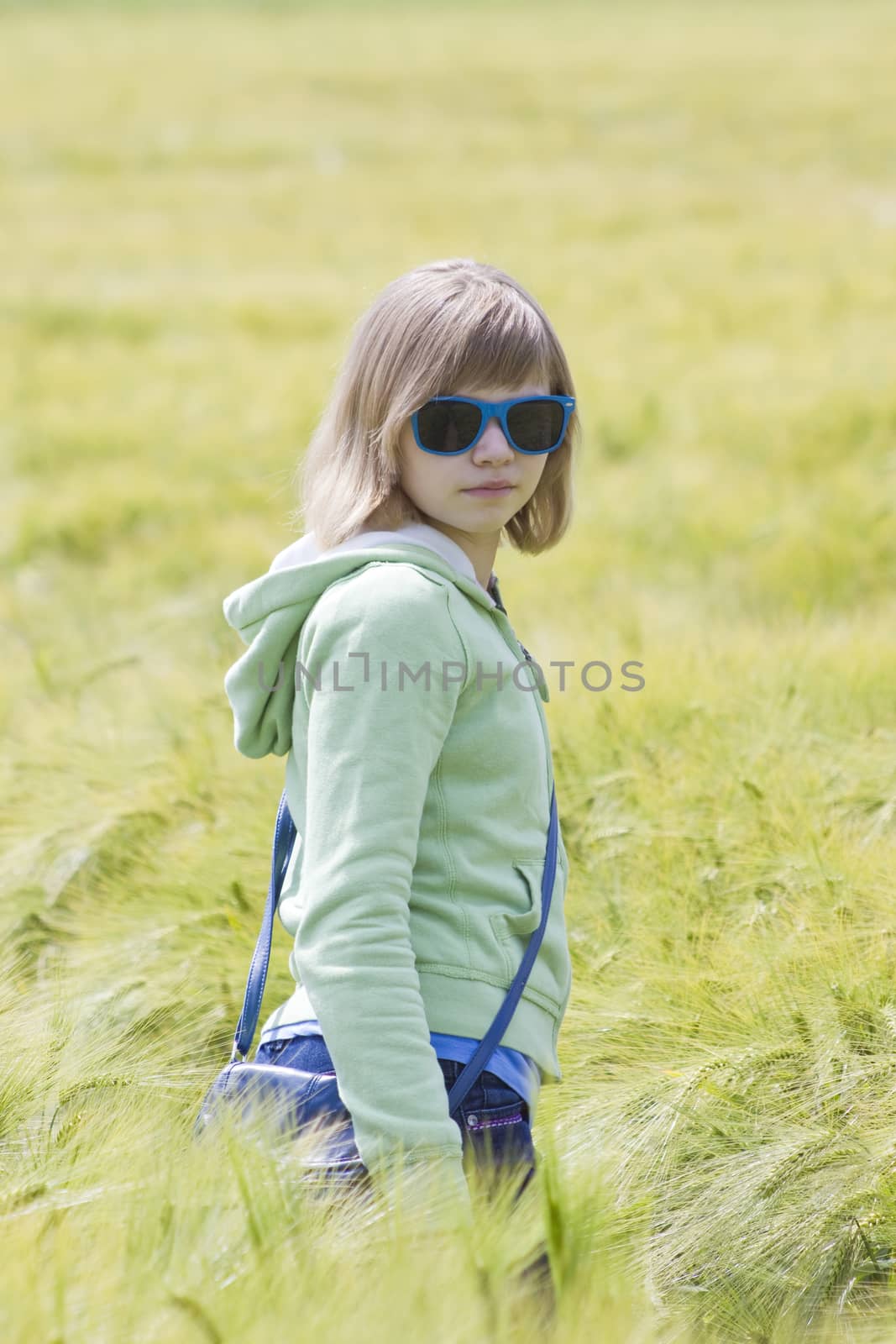 portrait of a little girl in the field of barley