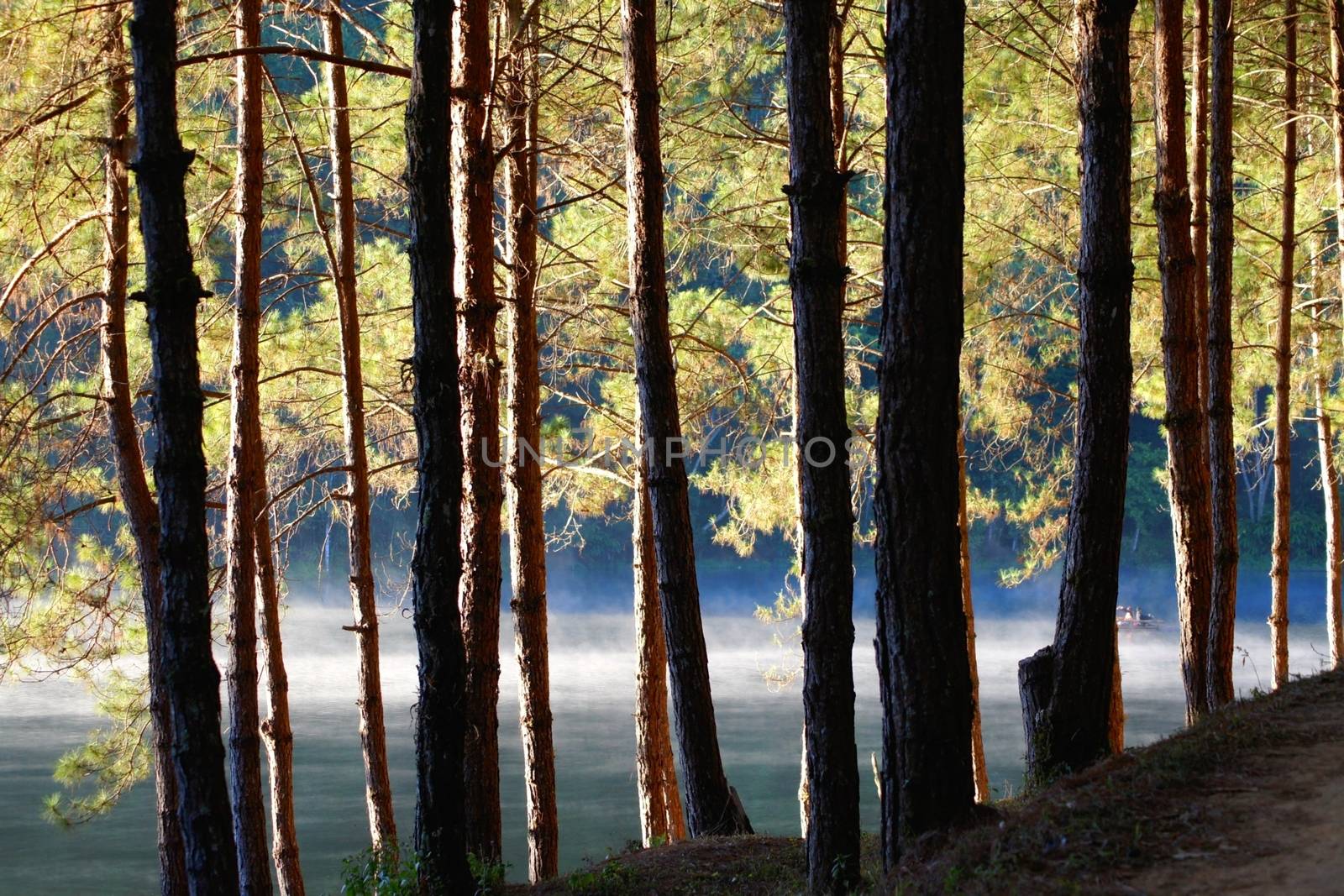 early morning at Pang Oung,Mae Hong Son,Thailand