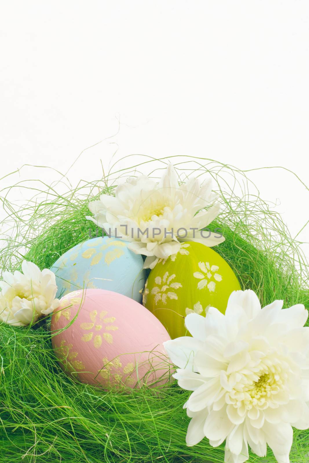 Easter card with chrysanthemums and eggs with copy space