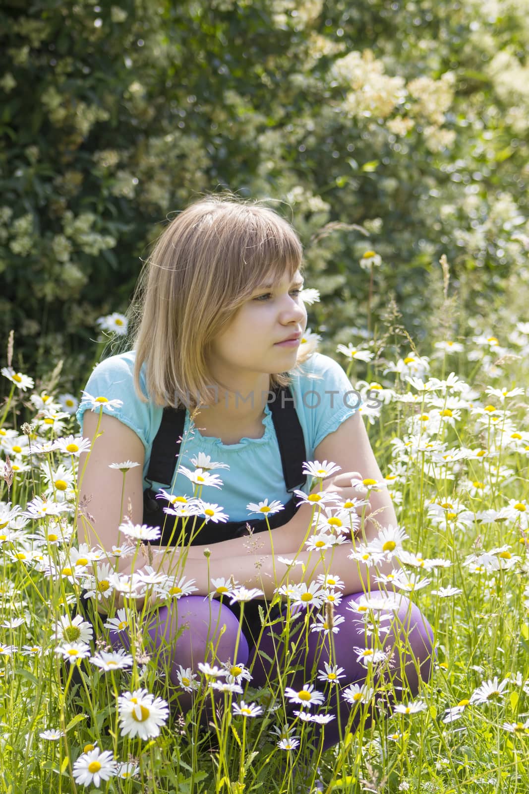 little girl on the meadow in summer day by miradrozdowski