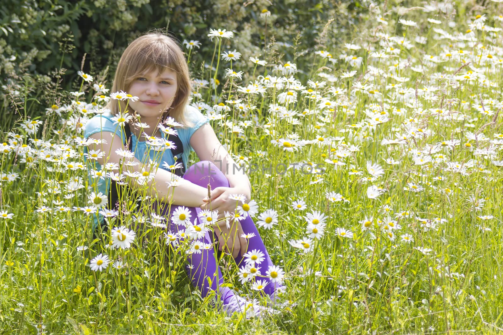 little girl on the meadow in summer day