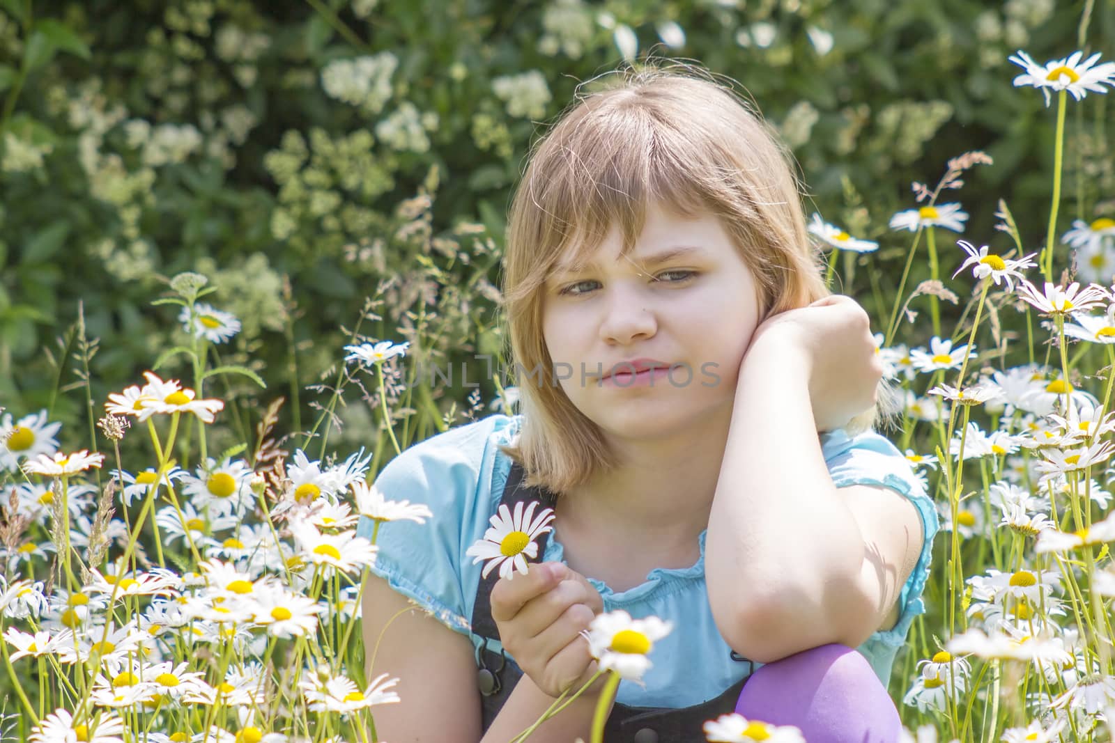 little girl on the meadow in summer day 