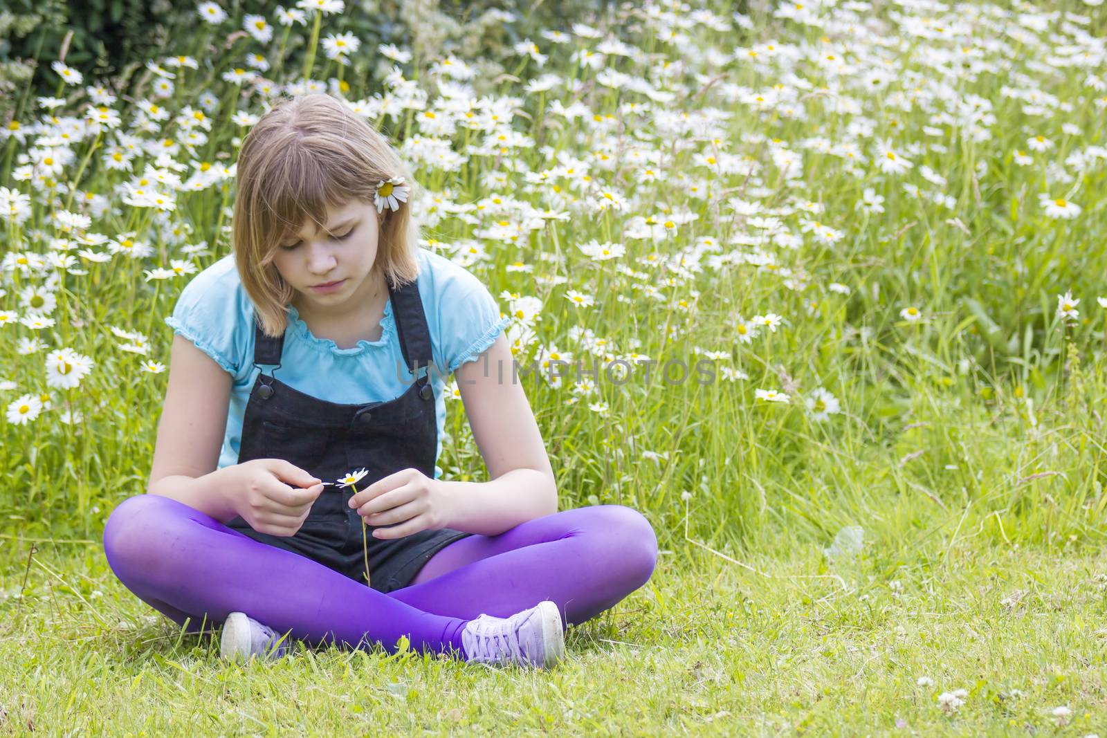 little girl on the meadow in summer day