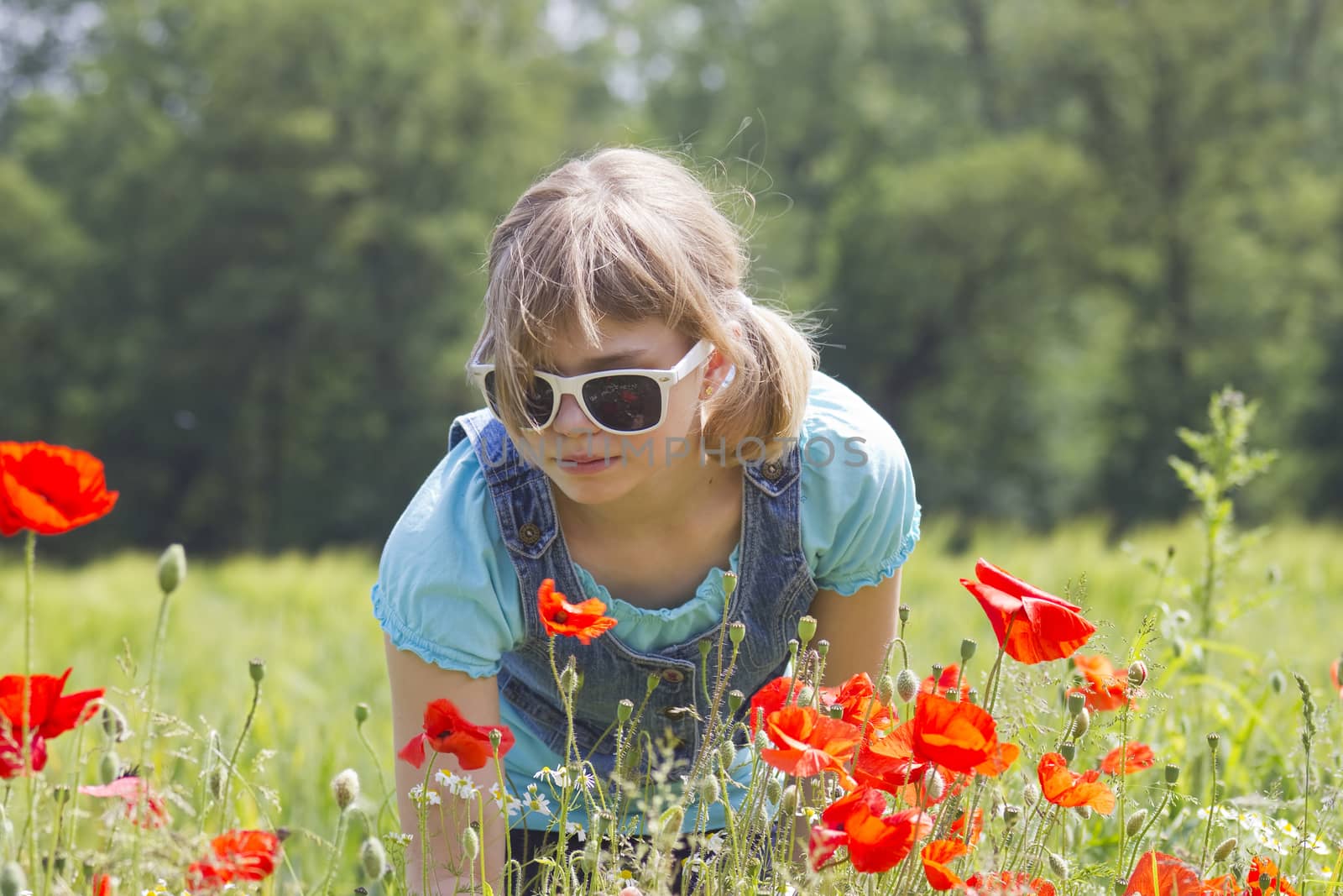 Cute young girl in poppy field