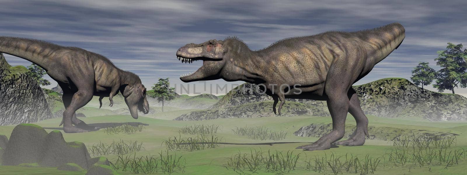 Two tyrannosaurus are in confrontation