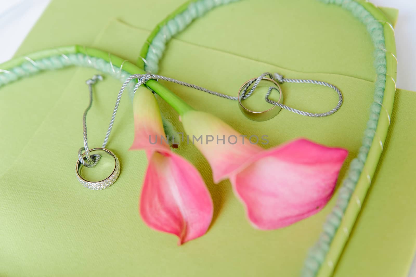 Pink lilies with wedding rings by tepic