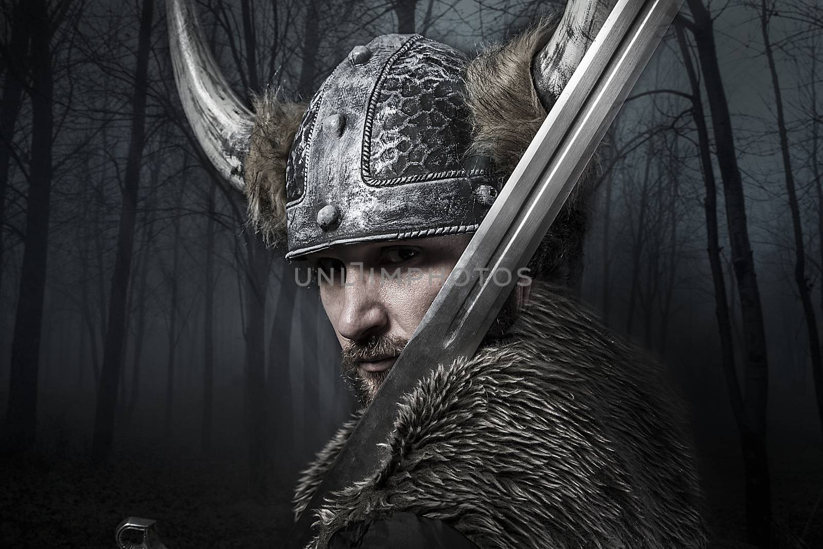 Sword, Viking warrior with helmet over forest background by FernandoCortes