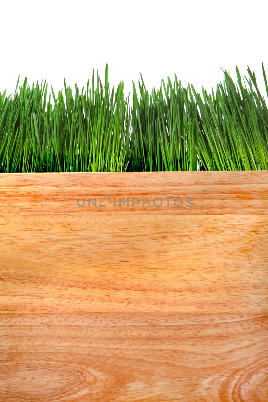 Grass and Wooden Board Isolated on the White Background