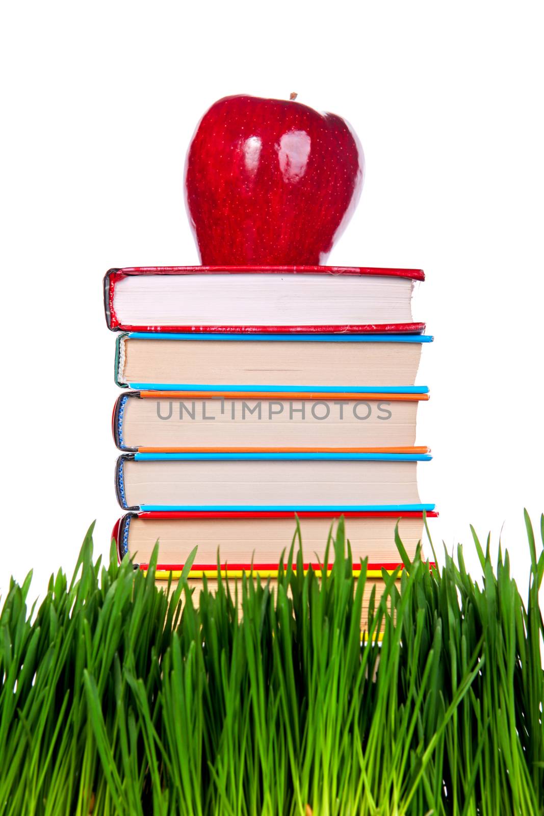 Pile of the Books on the Fresh Grass on the White Background Closeup