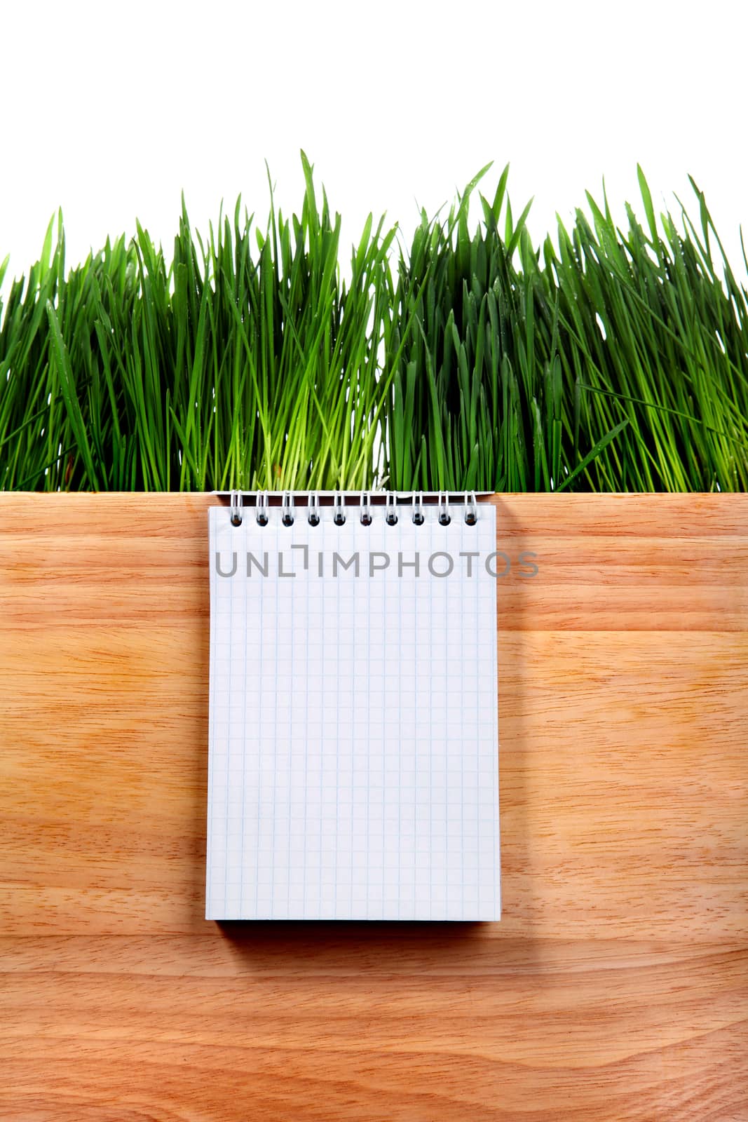 Writing Pad and Fresh Grass on the Board Isolated on the White Background