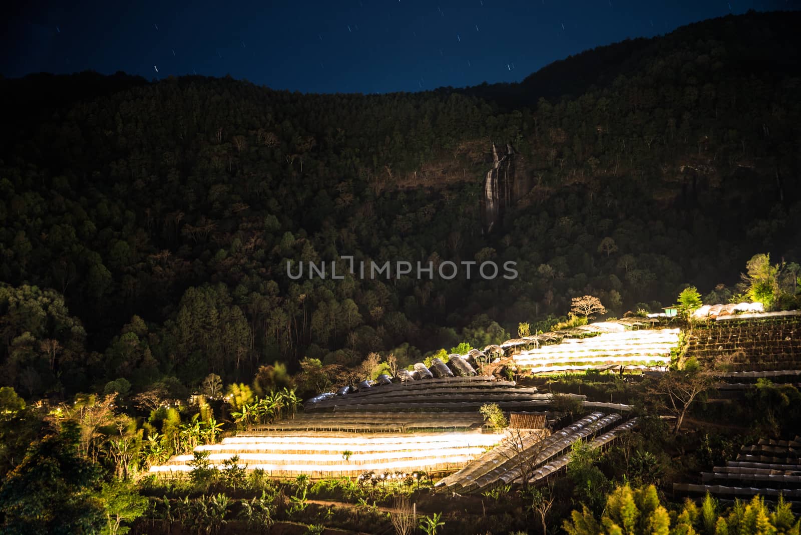 Nightscape of Greenhouse Plant and waterfall, Doi Inthanon, Chia by jakgree